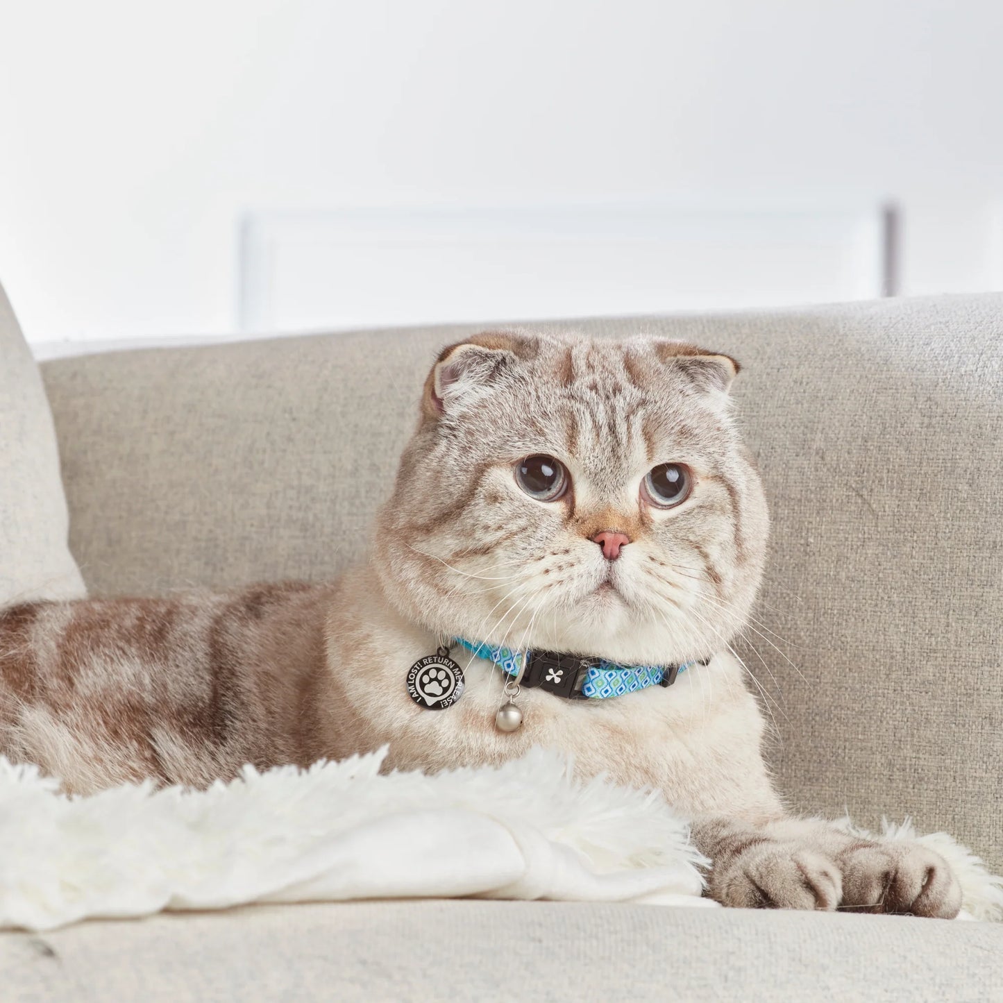 Max and Molly Smart ID Cat Collar Retro Blue - Collar para Gatos