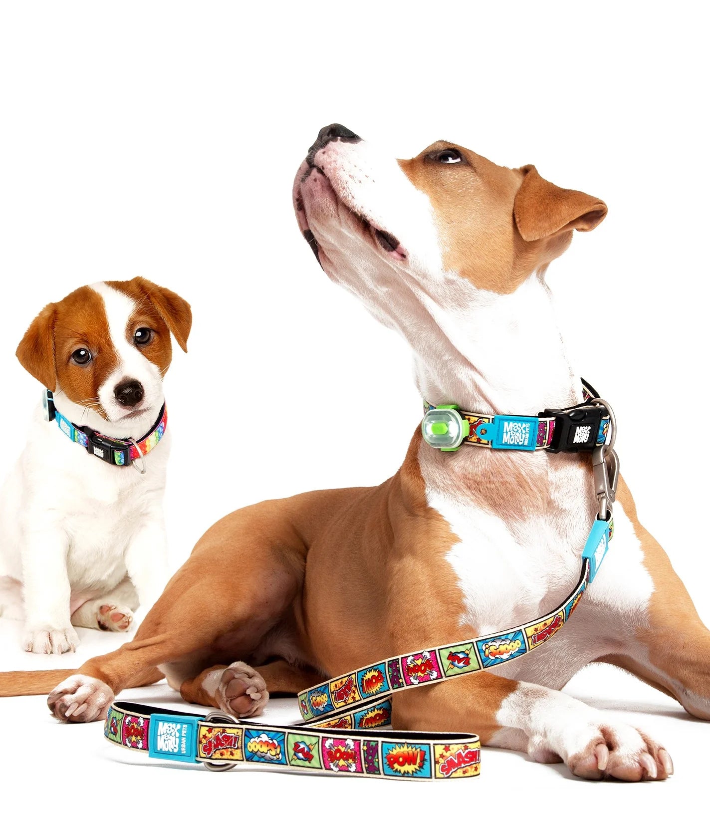 Max and Molly Smart ID Collar Comic - Collares para Perros