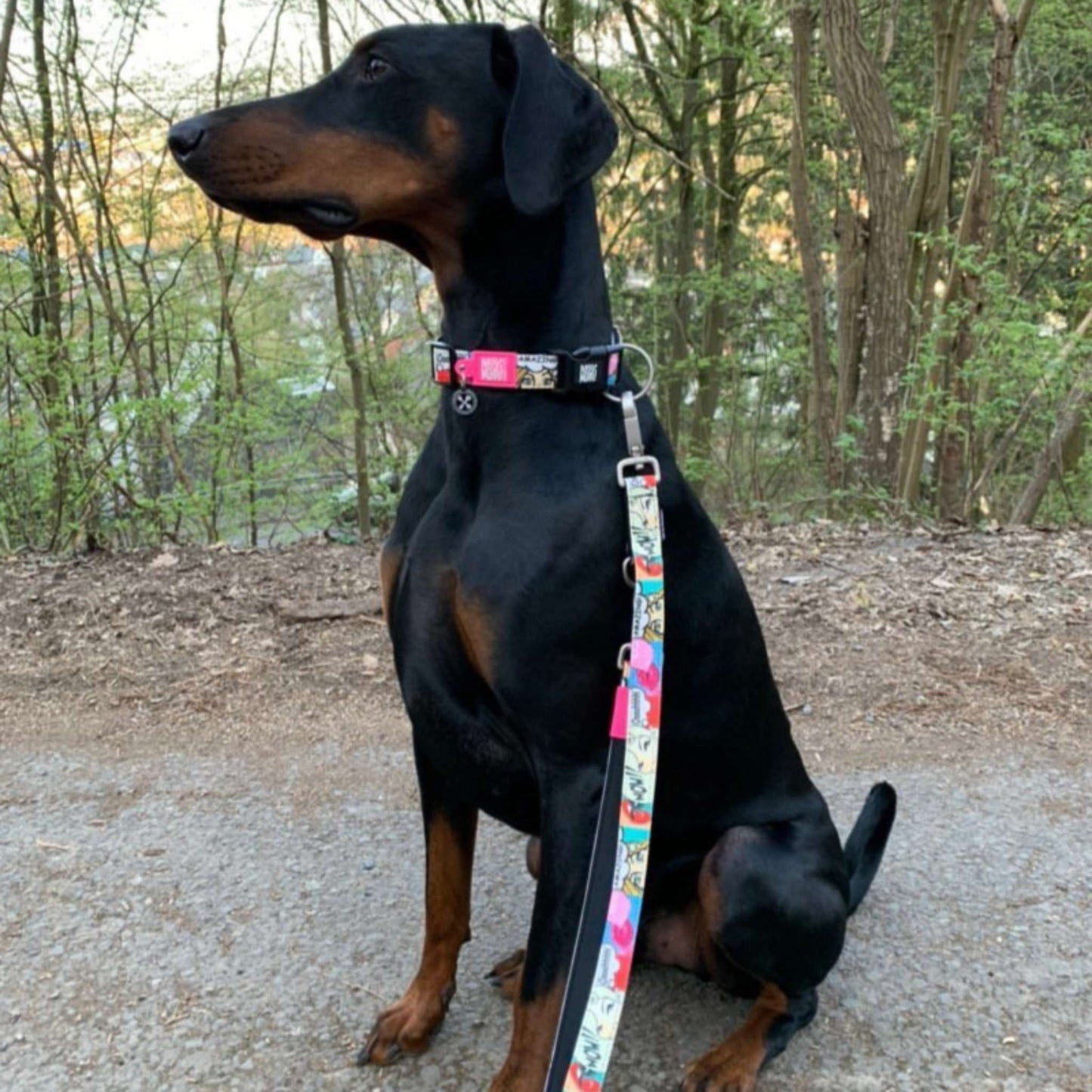 Max and Molly Smart ID Collar Missy Pop - Collares para Perros