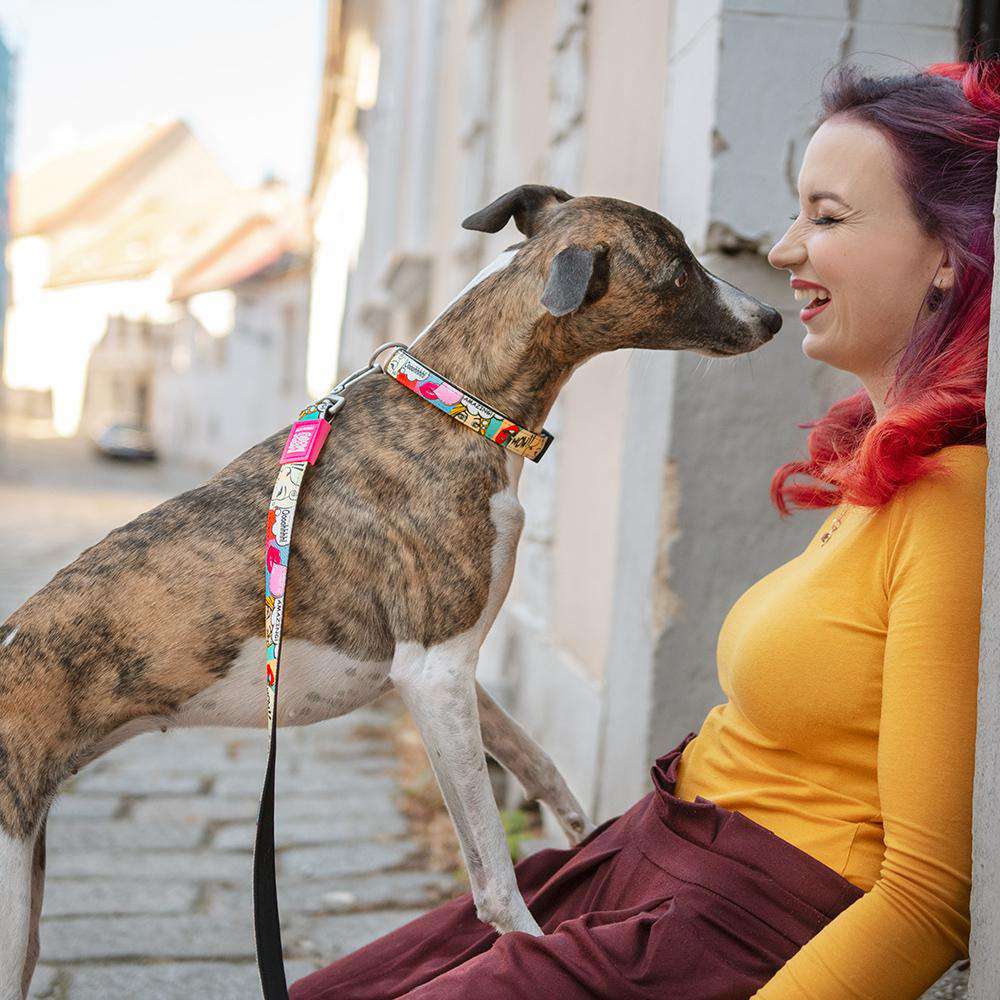 Max and Molly Smart ID Collar Missy Pop - Collares para Perros