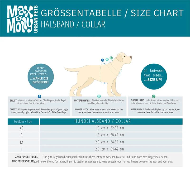 Max and Molly Smart ID Collar Retro Blue - Collares para Perros