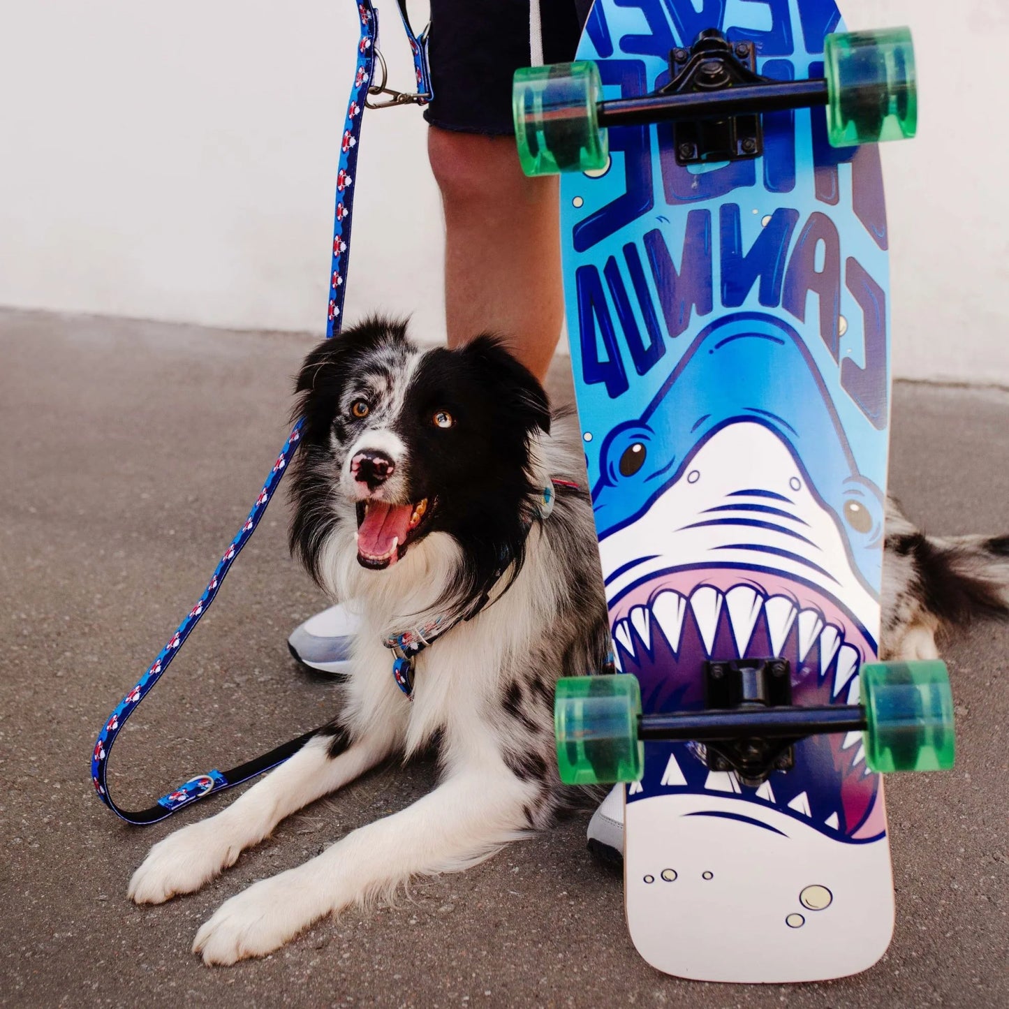 Max and Molly Short Leash Frenzy The Shark - Correas para Perros