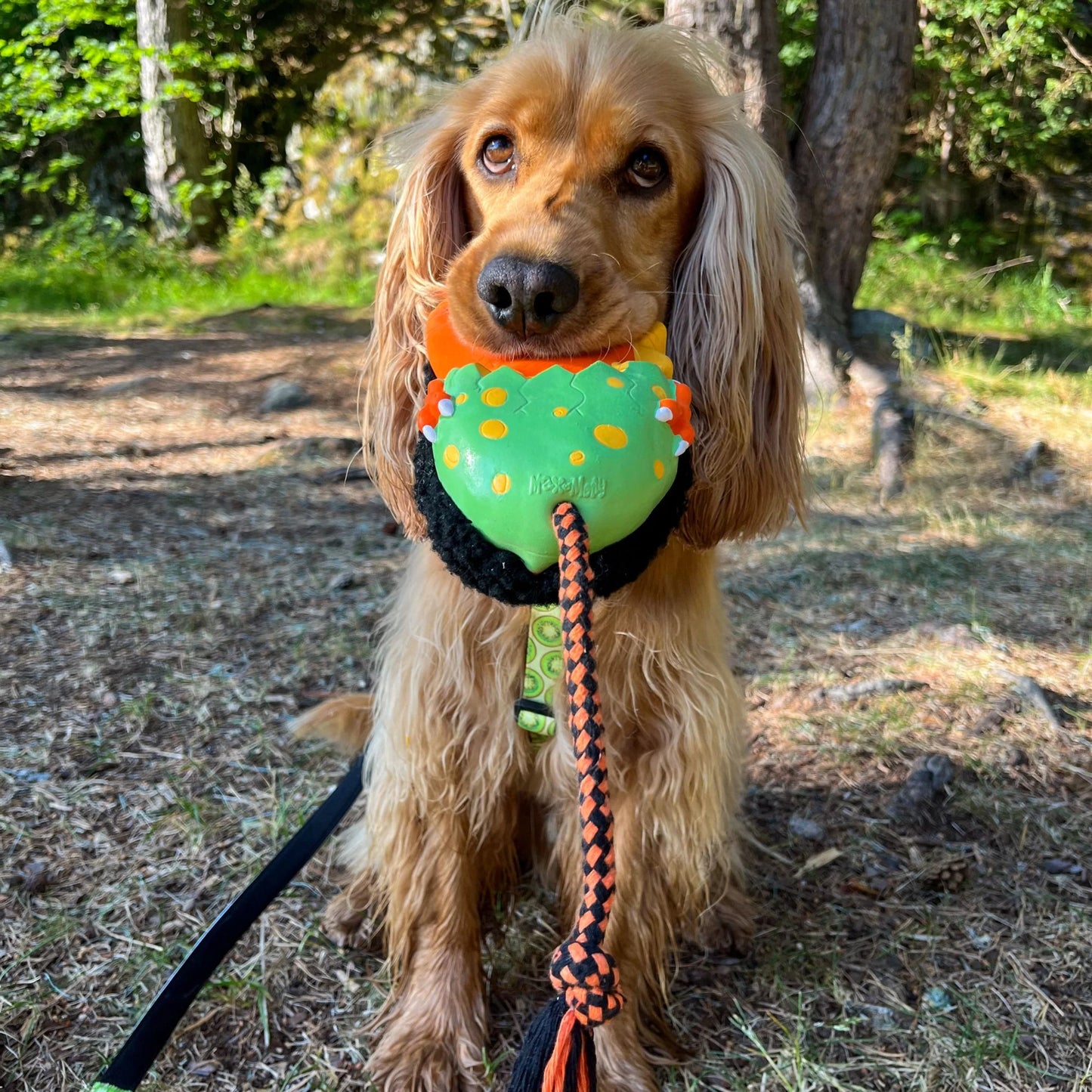 Max and Molly Snuggles Toy Otto The Dino - Juguetes para Perros