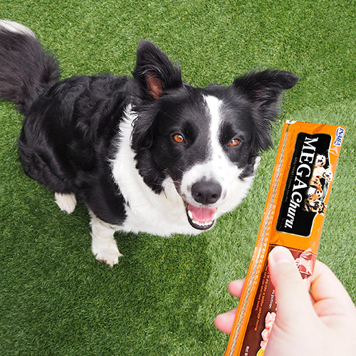 Mega Churu Tuna - Snacks para Perros
