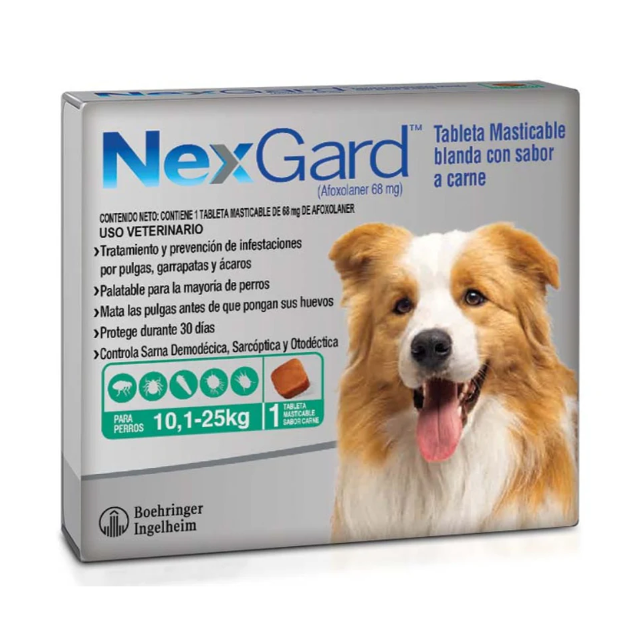 Nexgard para Perros de 10 a 25 KG - Antipulgas para Perros