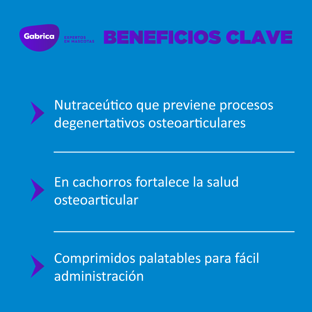 OL Trans Flex - Suplementos y vitamínicos para Perros - Petit Paws