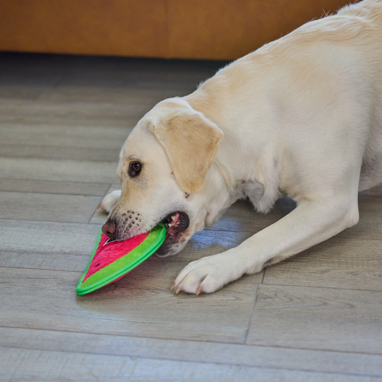 Outward Hound Tough Skinz Watermelon - Juguetes para Perros