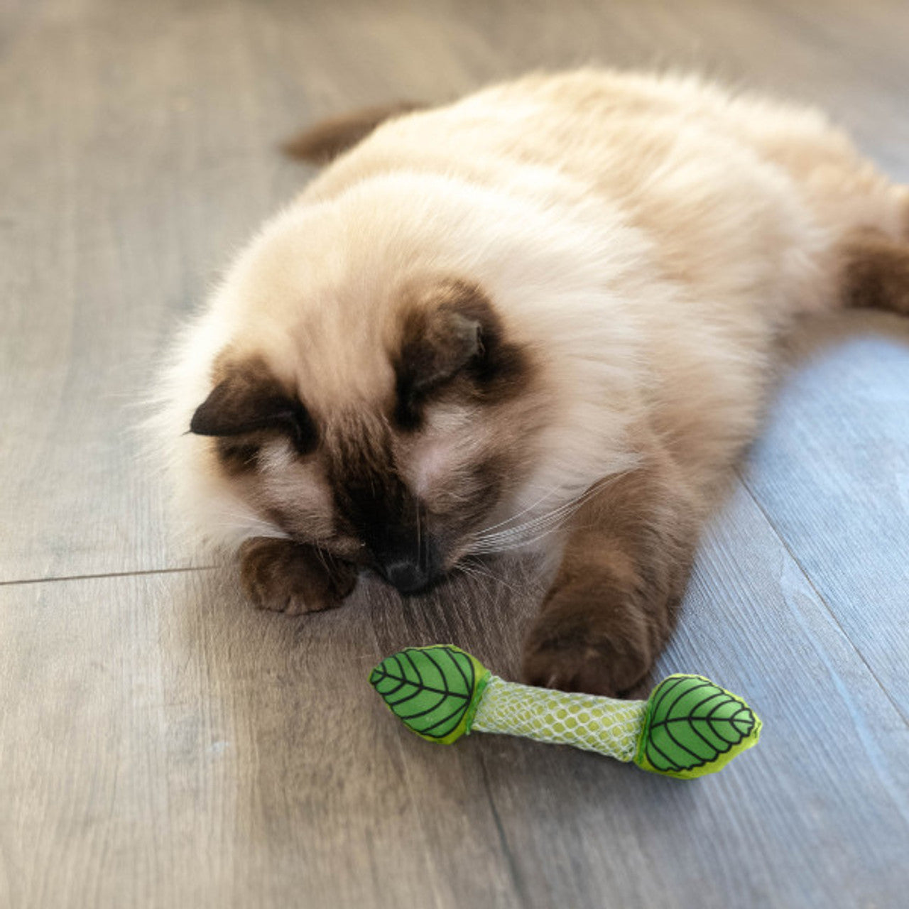 Petstages Fresh Breath Mint Stick - Juguetes para Gatos