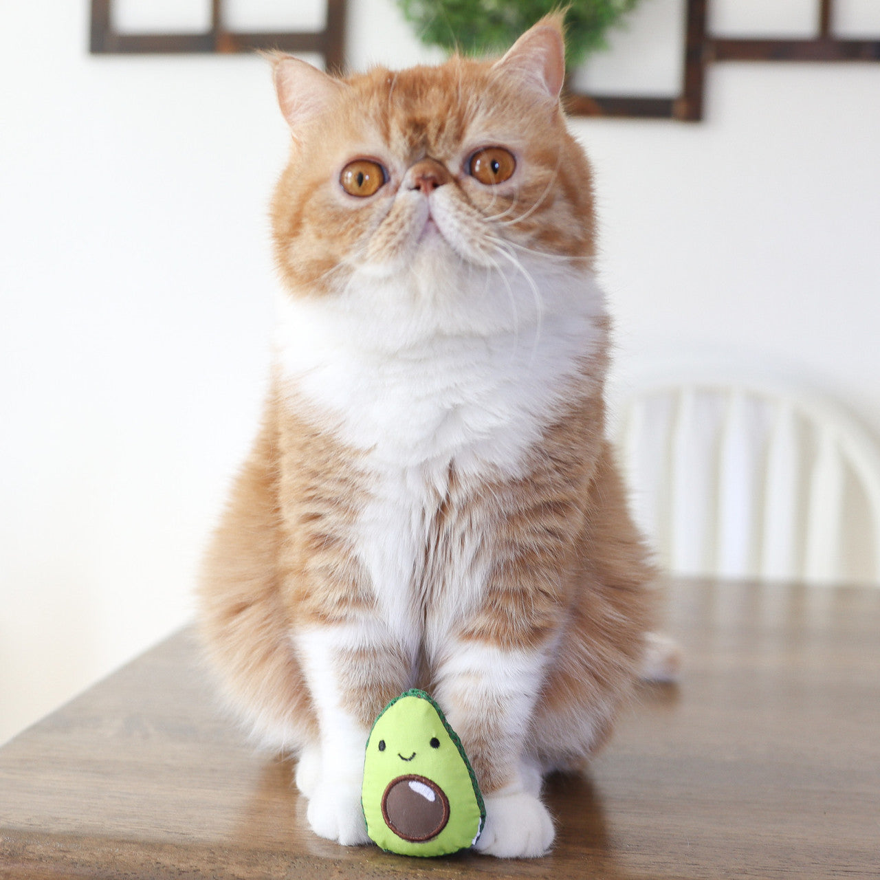 Petstages Lil' Avocato - Juguetes para Gatos