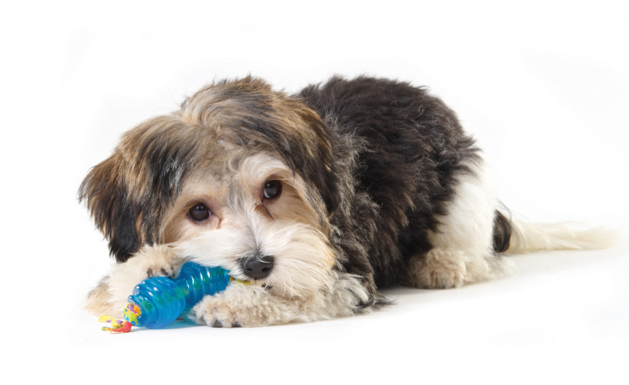 Petstages Orka Petite Chew Pair - Juguetes para Perros