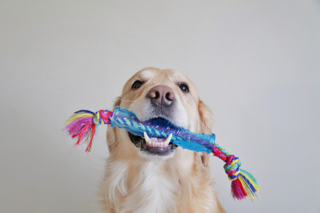 Petstages Orka Stick - Juguetes para Perros