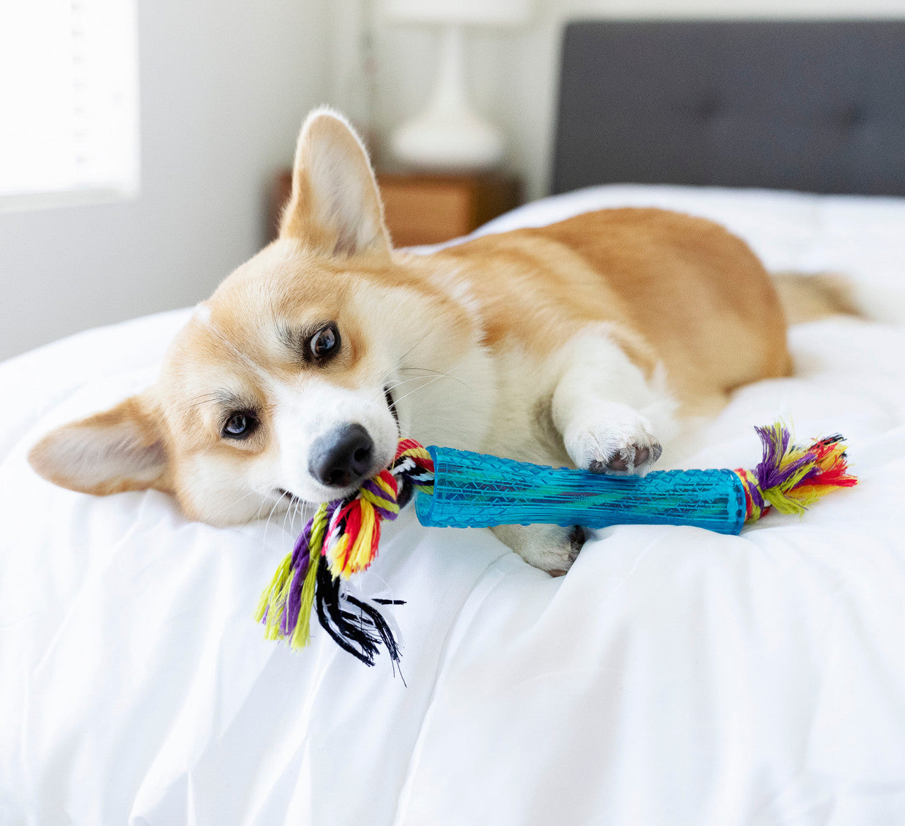 Petstages Orka Stick - Juguetes para Perros