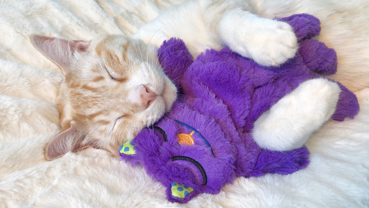 Petstages Purr Pillow Kitty - Juguetes para Gatos