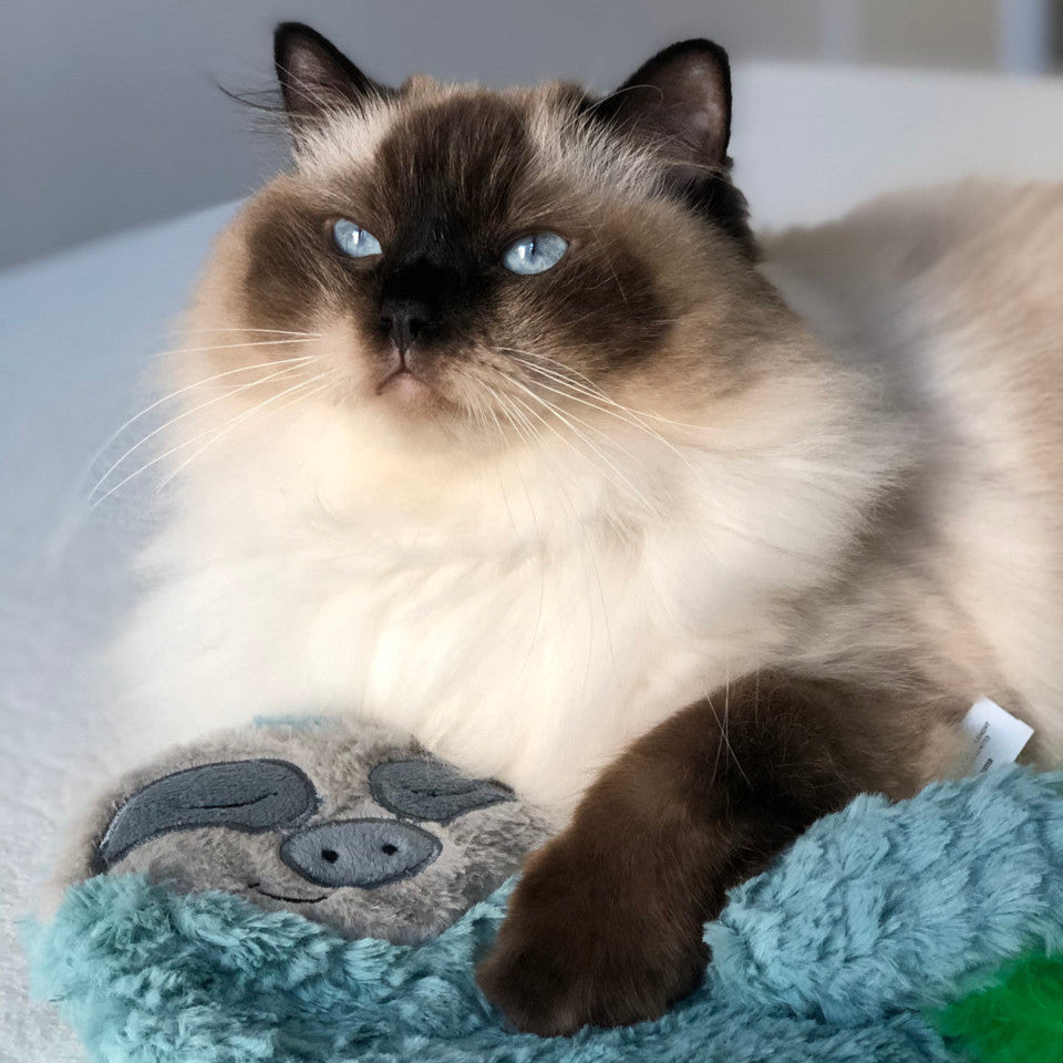 Petstages Purr Pillow Snoozin Sloth - Juguetes para Gatos