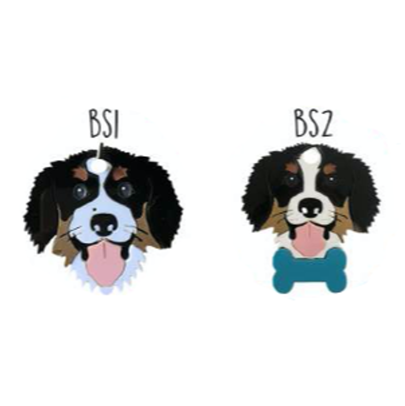 Placa de Identificación Bernés de la Montaña