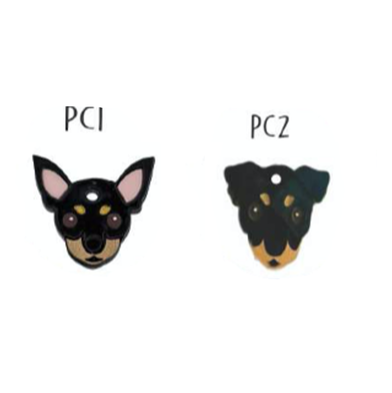 Placa de Identificación Pinscher - Placas de Identificación para Perro