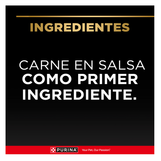 Pro Plan Pouch Adulto Carne - Alimento Húmedo para Perros