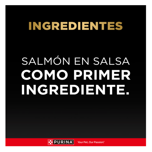 Pro Plan Pouch Gato Adulto Salmón - Alimento Húmedo para Gatos