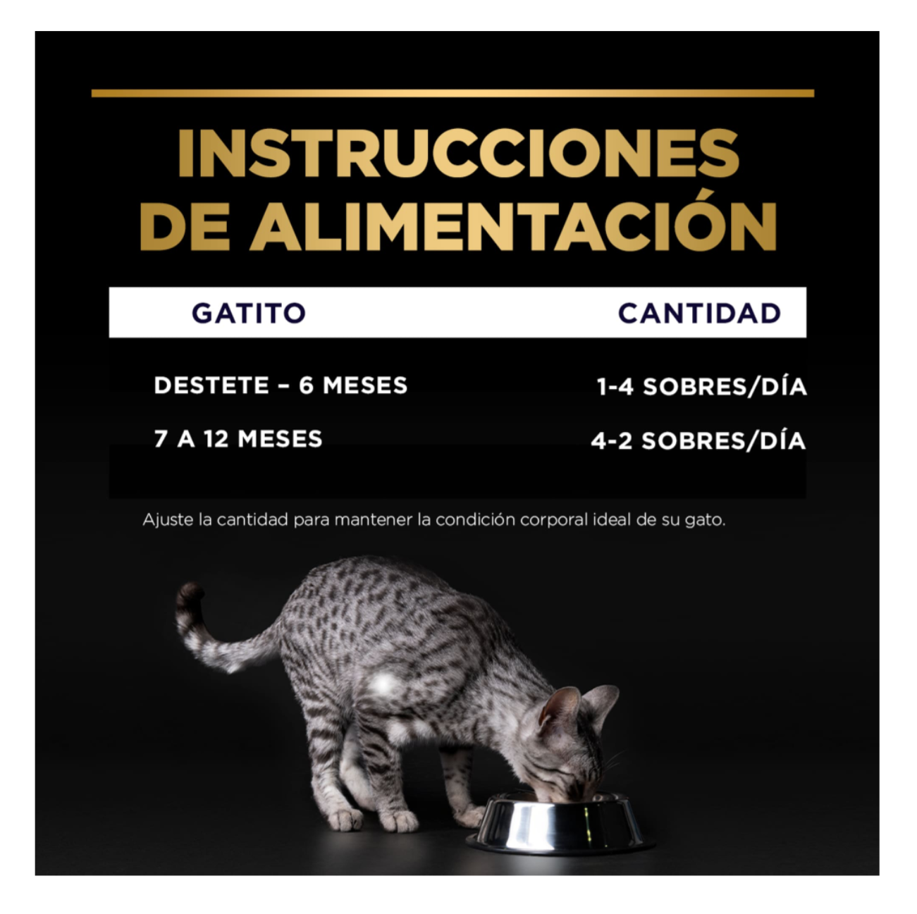 Pro Plan Pouch Kitten - Alimento Húmedo para Gatos