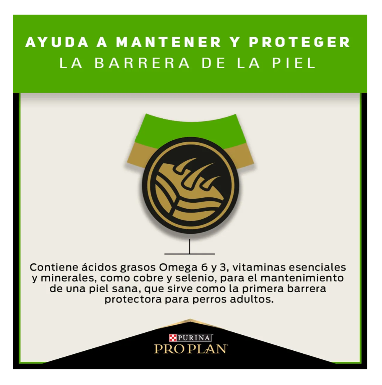 Pro Plan Sensitive Skin and Stomach - Alimento para Perros