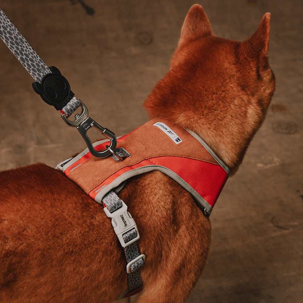 Reebok x Zee.Dog Adjustable Air Mesh Harness Suede - Arnés para Perros