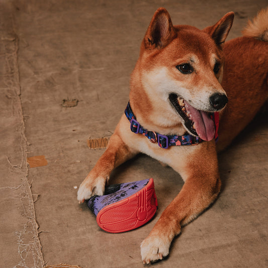 Reebok x Zee.Dog Rocking Tug Toy - Juguetes para Perros
