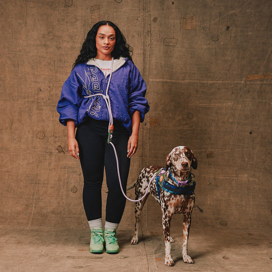 Reebok x Zeedog Hands-Free Leash Trekk - Correas para Perros