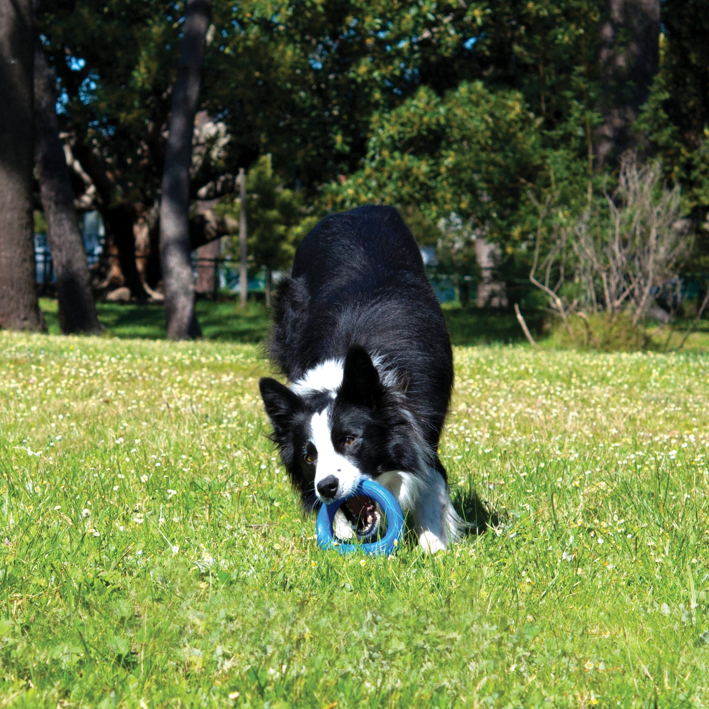 Rogz by Kong Pop-Upz Large - Juguetes para Perros