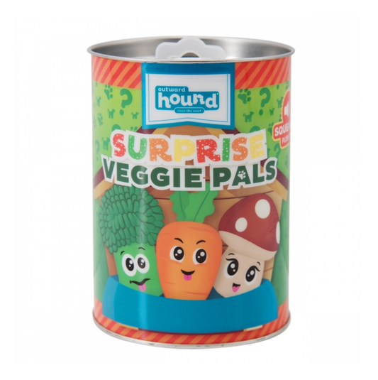 Outward Hound Surprise Veggie Pals XS - Juguetes para Perros