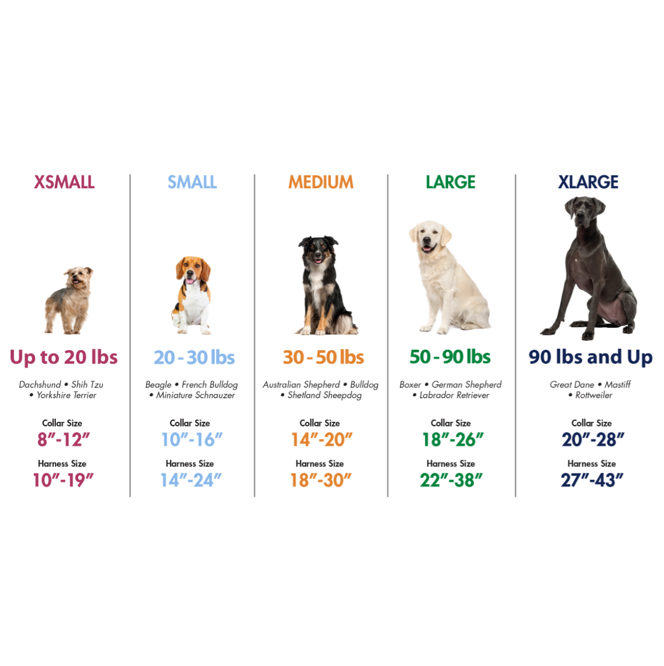 Coastal Styles Collar - Collares para Perros