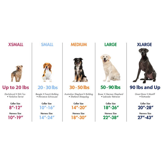 Coastal Styles Collar - Collares para Perros