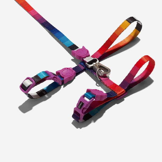 Zee.Cat Harness with Leash Prisma - Arnés para Gatos