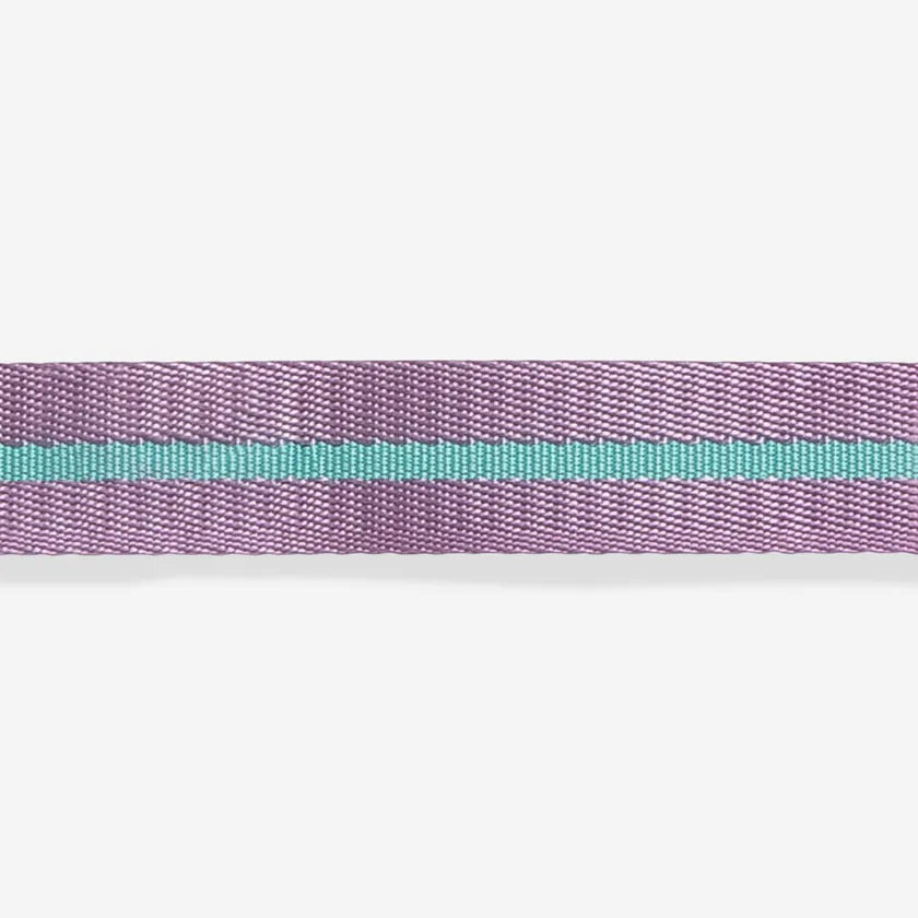 Zee.Dog Collar Astro - Collares para Perros