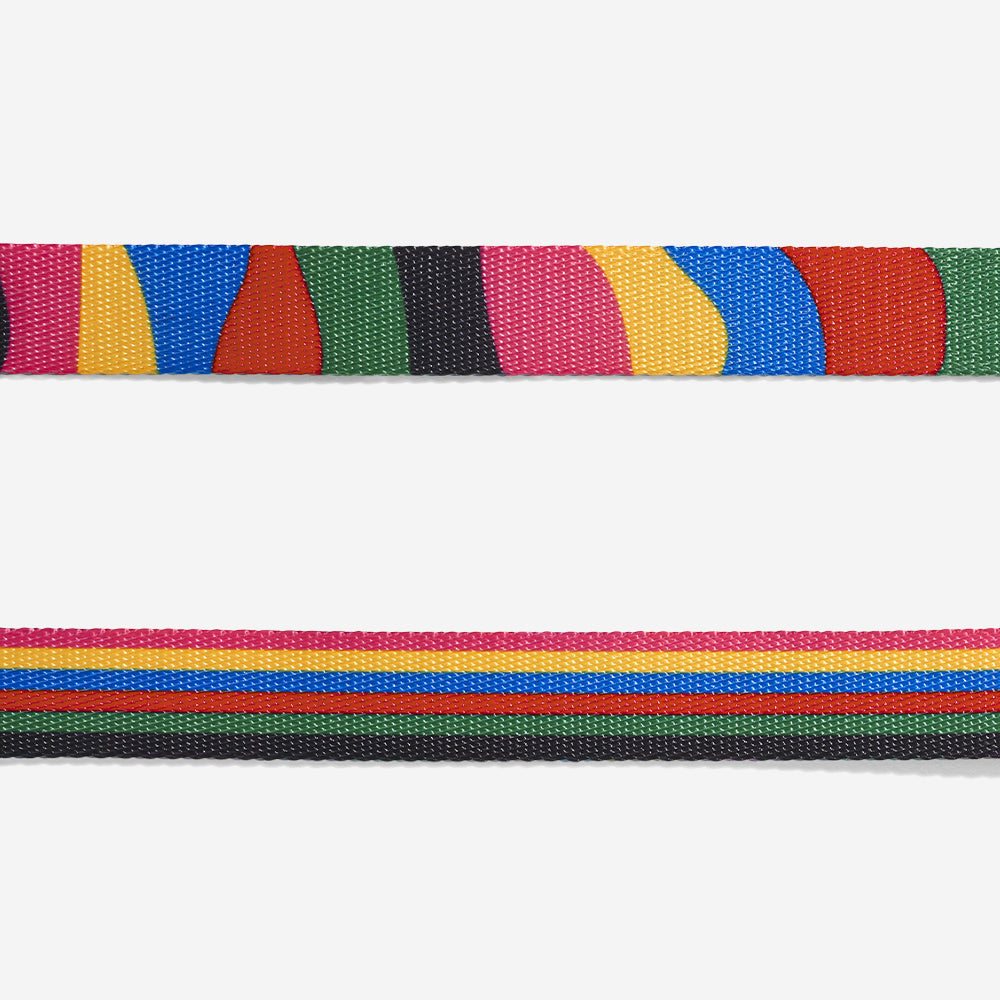 Zee.Dog H Harness Chroma - Arnés para Perros