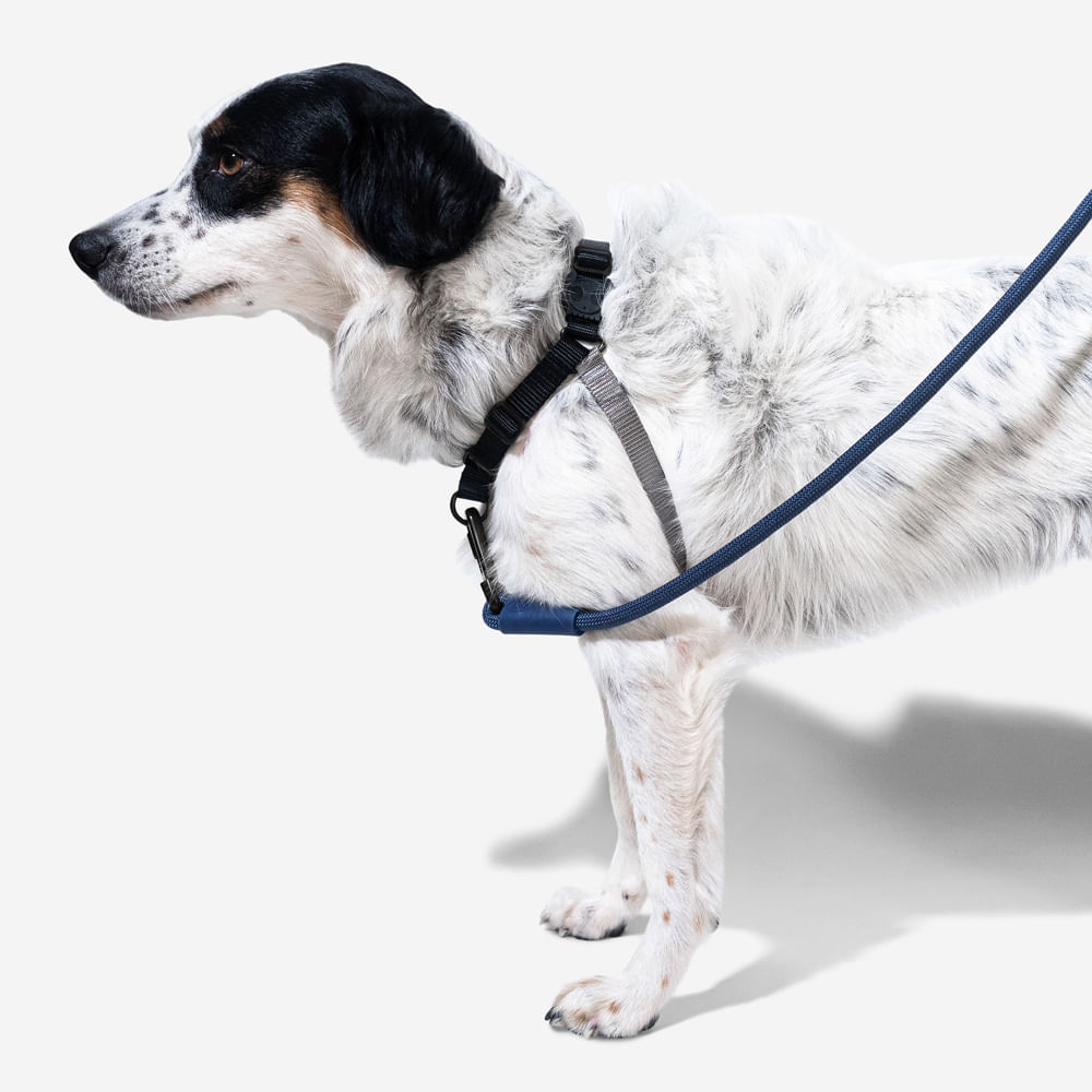 Zee.Dog Zee.Dog Soft-Walk Harness Gotham - Arnés para Perros