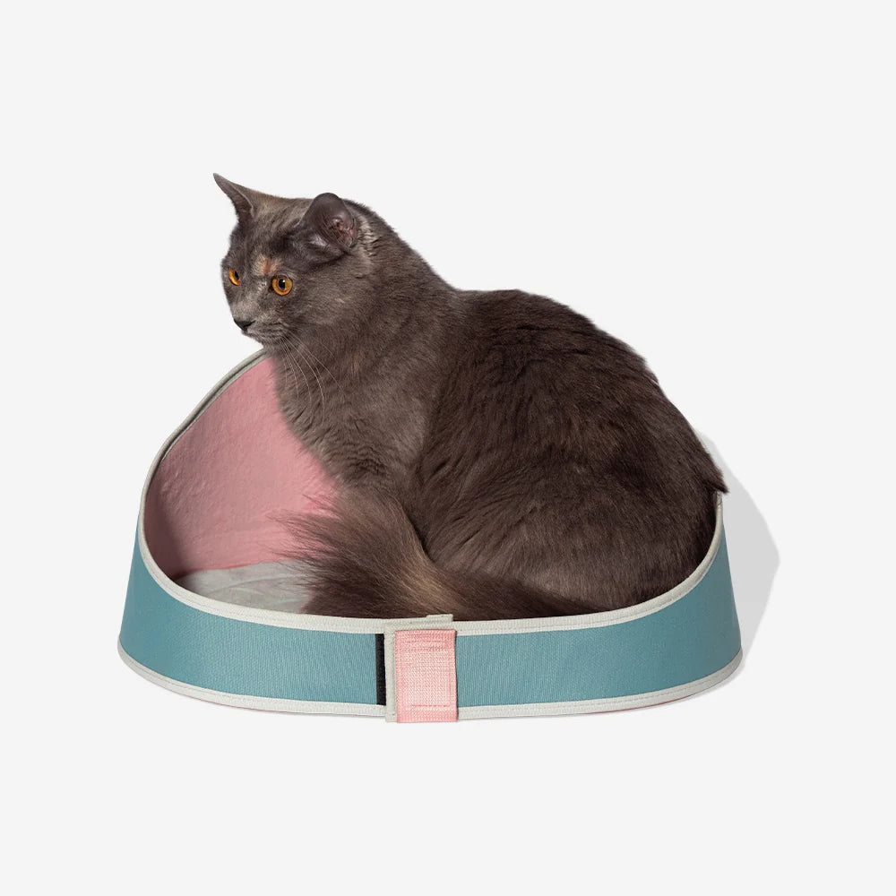 Zee.Cat Bed Kombucha - Camas para Gatos