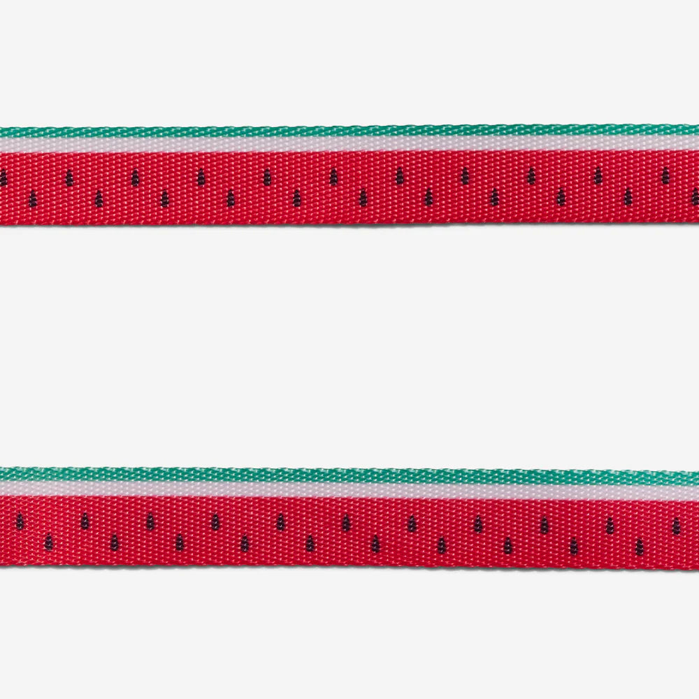 Zee.Cat Harness with Leash Lola - Arnés para Gatos