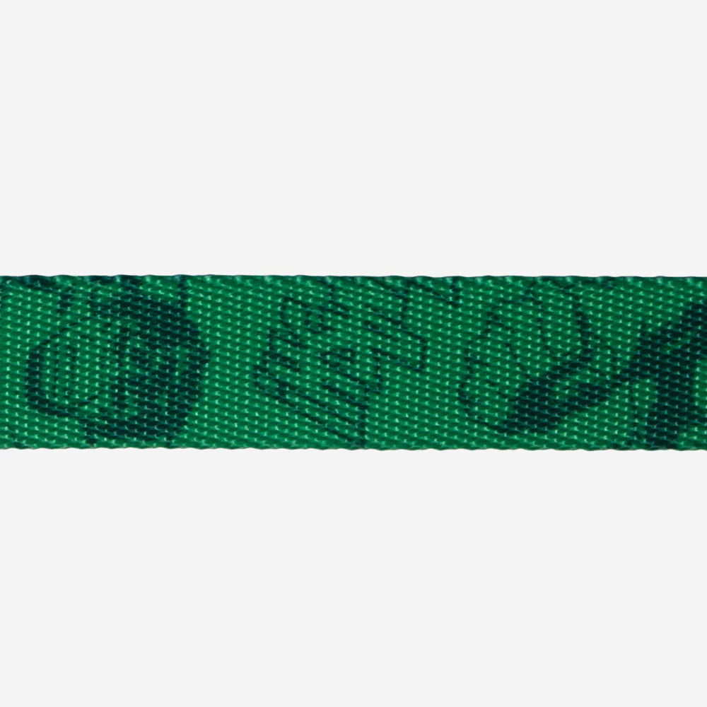 Zee.Dog Collar Hulk - Collares para Perros