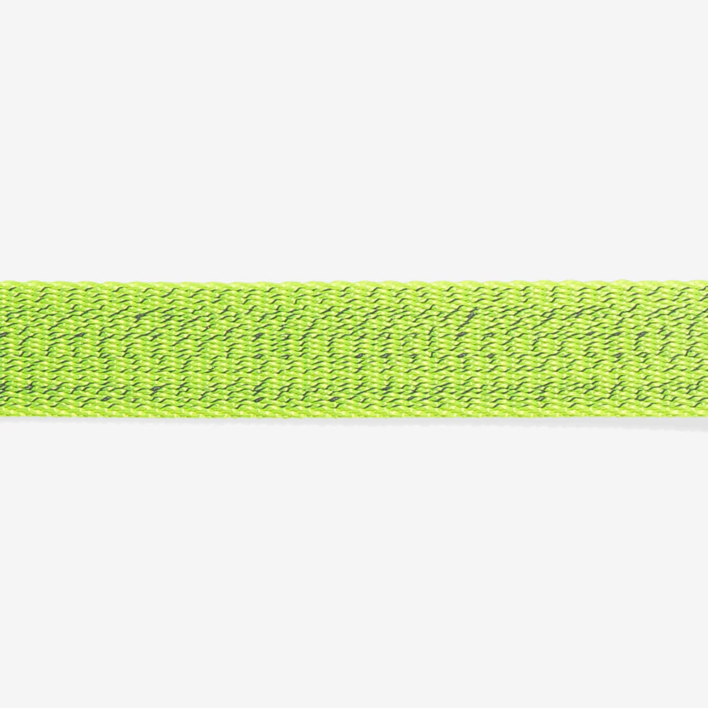 Zee.Dog Collar NOX Lumen - Collares para Perros