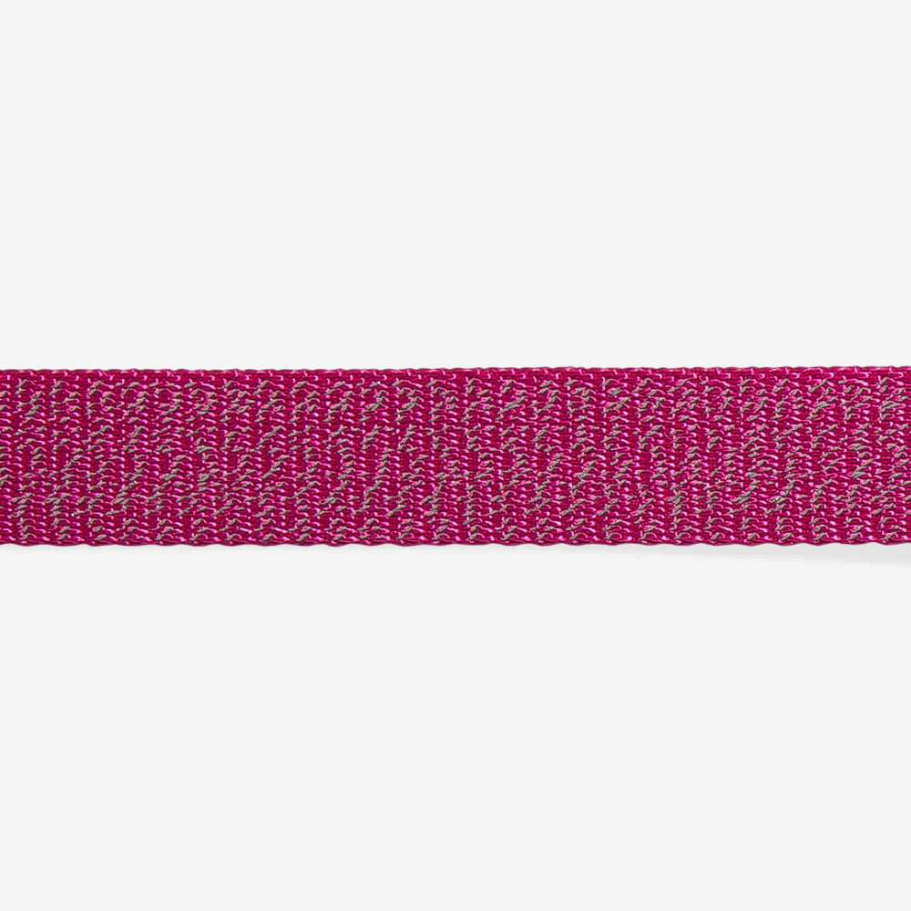 Zee.Dog Collar NOX Sidus - Collares para Perros