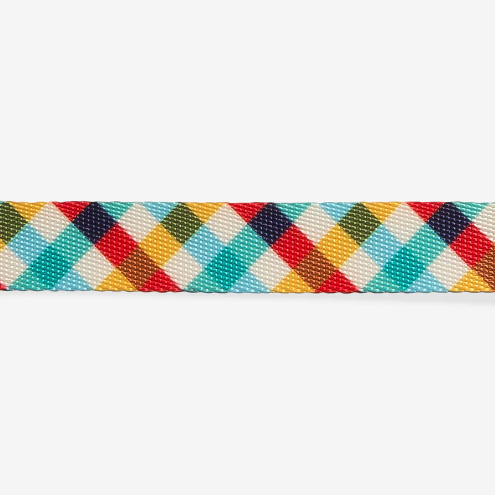 Zee.Dog Collar Phantom - Collares para Perros