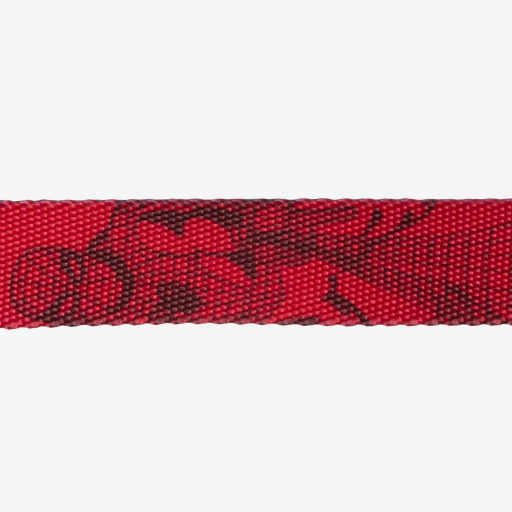 Zee.Dog Collar Spiderman - Collares para Perros