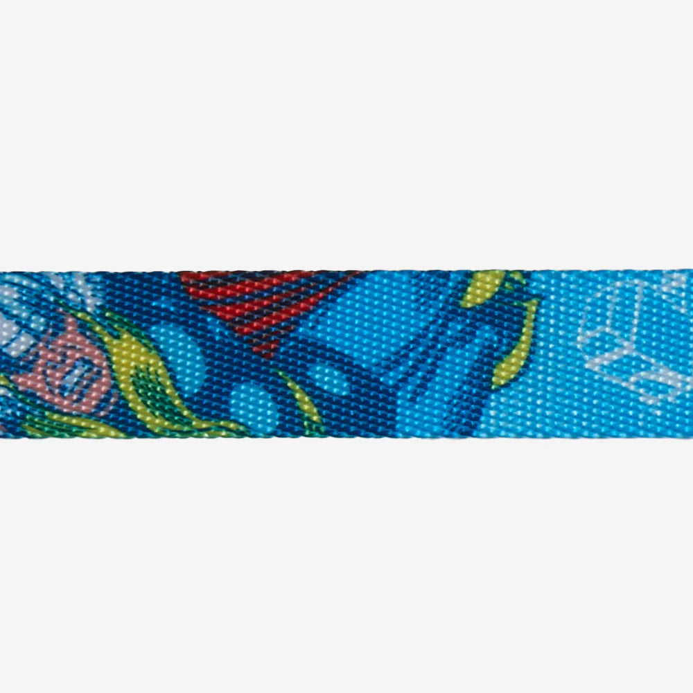 Zee.Dog Collar Thor - Collares para Perros
