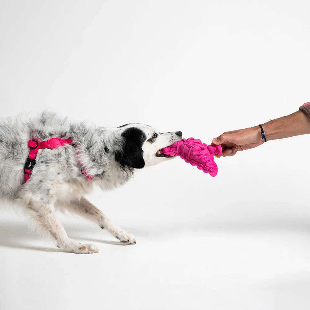 Zee.Dog Fat Pigeon - Juguetes para Perros