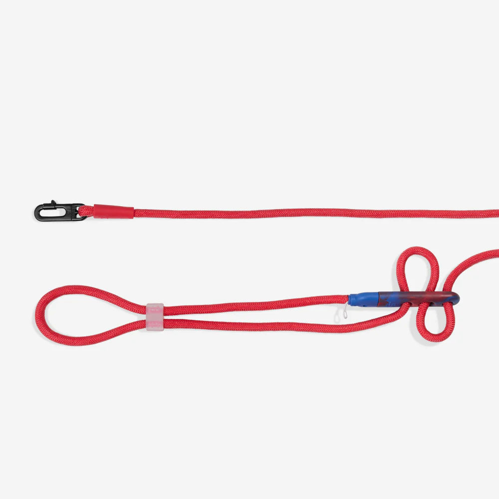 Zee.Dog Hands-Free Leash Spiderman - Correas para Perros