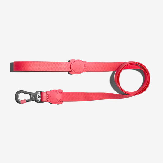 Zee.Dog Leash NeoPro Bubblegum - Correas para Perros
