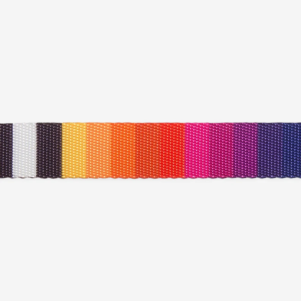 Zee.Dog Leash Prisma - Correas para Perros