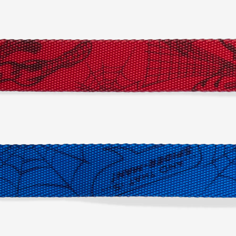 Zee.Dog Leash Spiderman - Correas para Perros