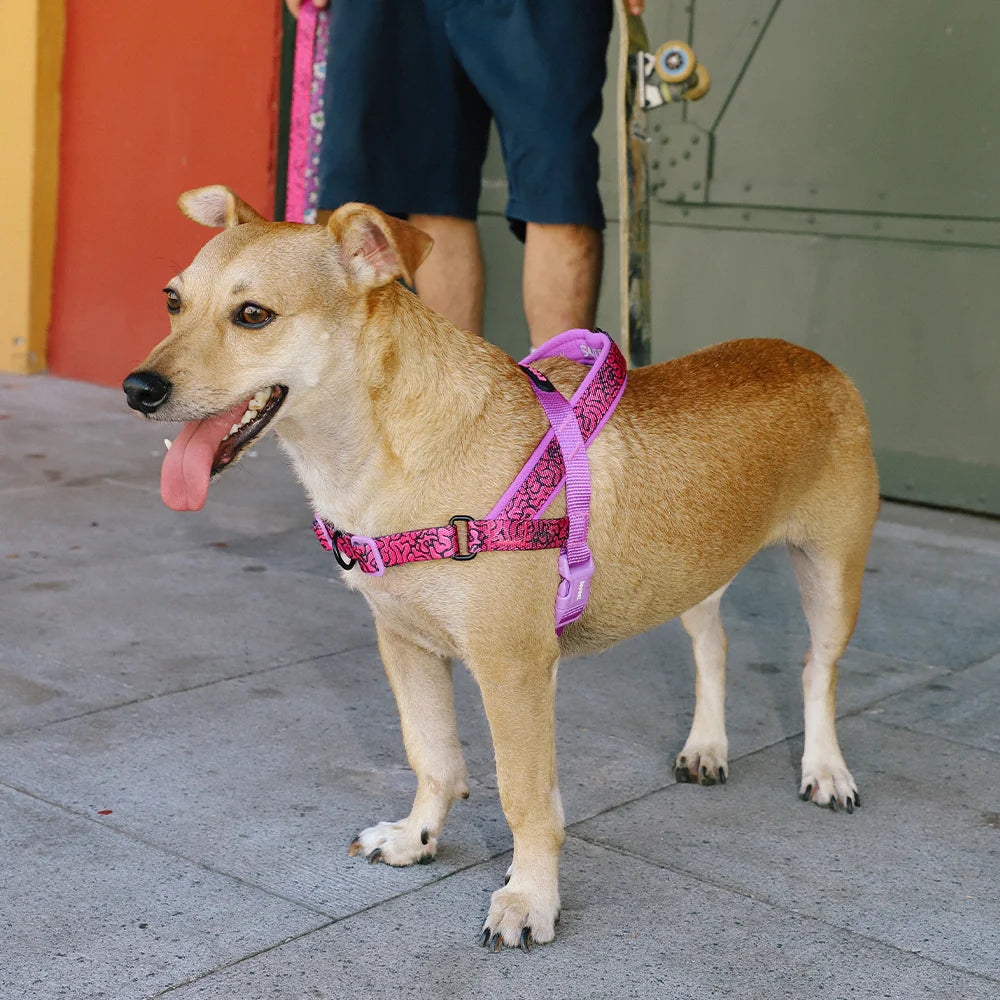 Zee.Dog Softer Walk Harness Brain - Arnés para Perros