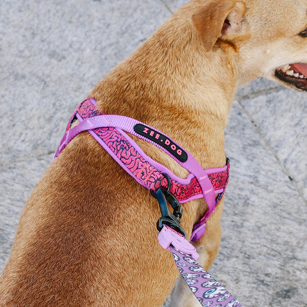 Zee.Dog Softer Walk Harness Brain - Arnés para Perros